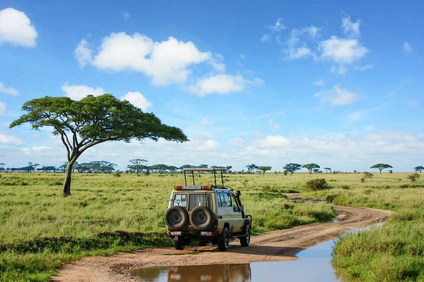 Safari landscape in Serengeti grassland