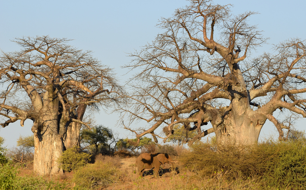 Kruger National Park